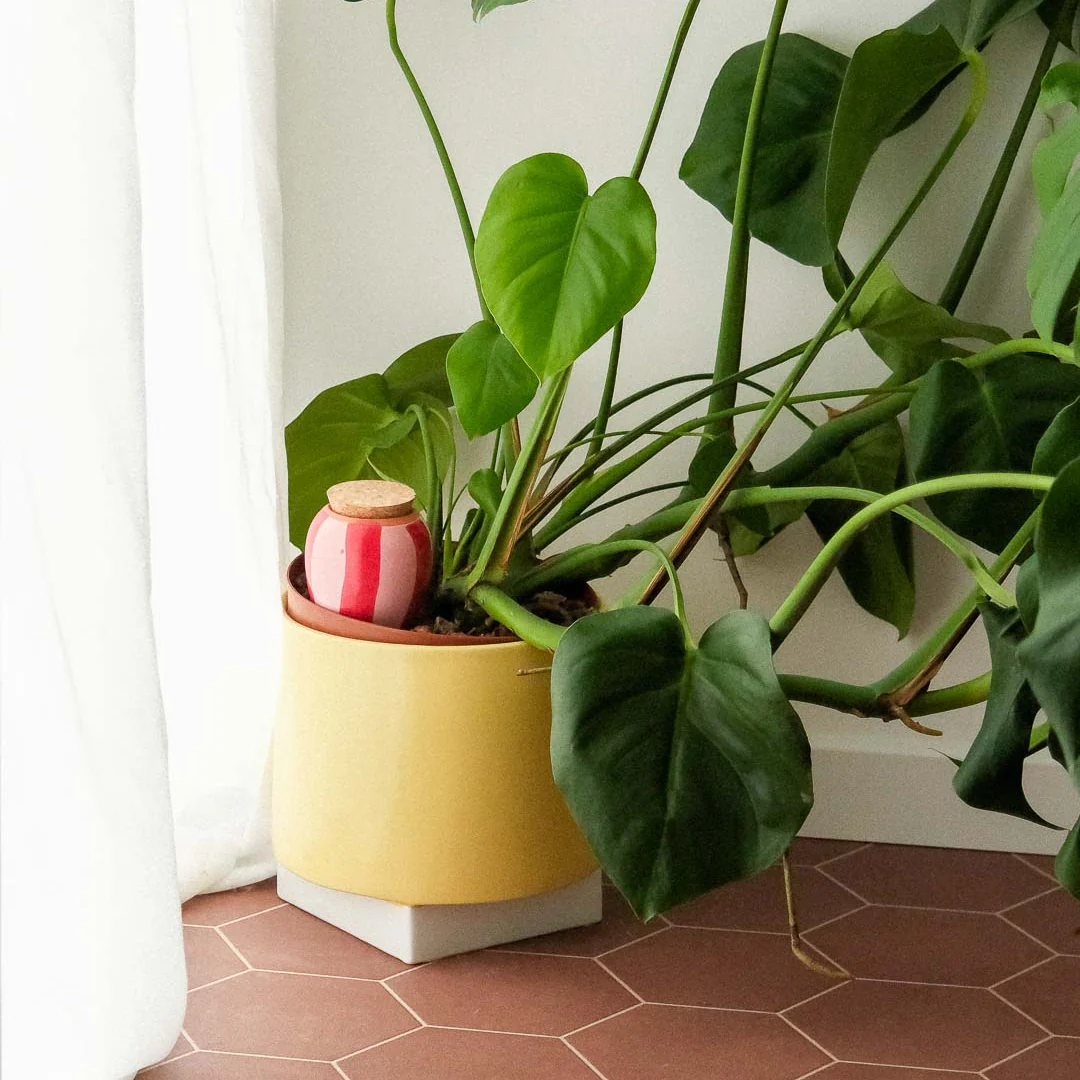 Olla - Rayé rose et rouge - Image 3