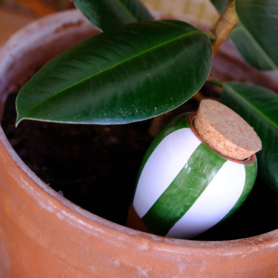 Olla - Rayé vert et blanc - Image 2